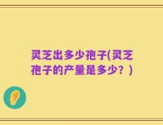 灵芝出多少孢子(灵芝孢子的产量是多少？)