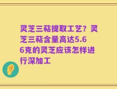 灵芝三萜提取工艺？灵芝三萜含量高达5.66克的灵芝应该怎样进行深加工