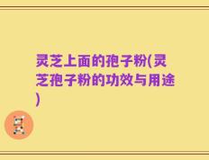 灵芝上面的孢子粉(灵芝孢子粉的功效与用途)