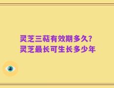 灵芝三萜有效期多久？灵芝最长可生长多少年