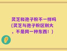 灵芝和孢子粉不一样吗(灵芝与孢子粉区别大，不是同一种东西！)