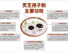 科学解析灵芝孢子粉的药用价值都有哪些？