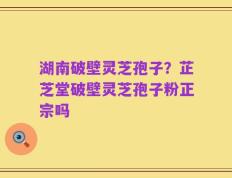 湖南破壁灵芝孢子？芷芝堂破壁灵芝孢子粉正宗吗