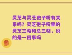 灵芝与灵芝孢子粉有关系吗？灵芝孢子粉里的灵芝三萜和总三萜，说的是一回事吗