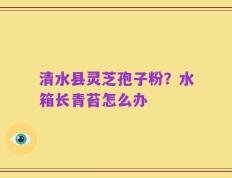 清水县灵芝孢子粉？水箱长青苔怎么办