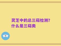 灵芝中的总三萜检测？什么是三萜类
