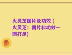 火灵芝图片及功效 (火灵芝：图片和功效一网打尽)