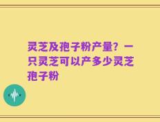 灵芝及孢子粉产量？一只灵芝可以产多少灵芝孢子粉