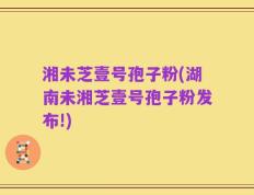 湘未芝壹号孢子粉(湖南未湘芝壹号孢子粉发布!)