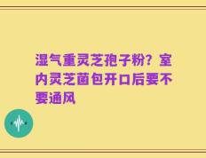 湿气重灵芝孢子粉？室内灵芝菌包开口后要不要通风