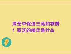 灵芝中促进三萜的物质？灵芝的精华是什么