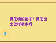灵芝喷的孢子？灵芝出土怎样喷水吗