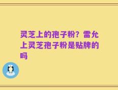 灵芝上的孢子粉？雷允上灵芝孢子粉是贴牌的吗