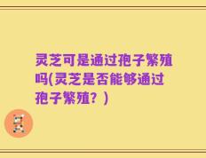 灵芝可是通过孢子繁殖吗(灵芝是否能够通过孢子繁殖？)