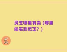 灵芝哪里有卖 (哪里能买到灵芝？)