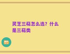 灵芝三萜怎么选？什么是三萜类