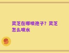 灵芝在哪喷孢子？灵芝怎么喷水