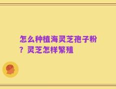 怎么种植海灵芝孢子粉？灵芝怎样繁殖