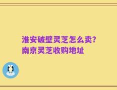 淮安破壁灵芝怎么卖？南京灵芝收购地址