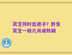 灵芝何时出孢子？野生灵芝一般几月成熟期