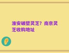 淮安破壁灵芝？南京灵芝收购地址