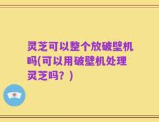 灵芝可以整个放破壁机吗(可以用破壁机处理灵芝吗？)