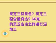 灵芝三萜显色？灵芝三萜含量高达5.66克的灵芝应该怎样进行深加工
