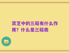 灵芝中的三萜有什么作用？什么是三萜类