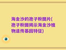 海金沙的孢子粉图片(孢子粉图揭示海金沙植物遗传基因特征)