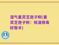 湿气重灵芝孢子粉(重灵芝孢子粉：祛湿排毒好帮手)
