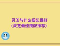 灵芝与什么搭配最好 (灵芝最佳搭配推荐)