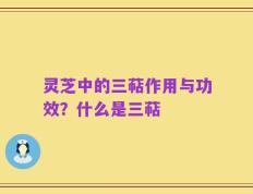 灵芝中的三萜作用与功效？什么是三萜