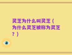 灵芝为什么叫灵芝 (为什么灵芝被称为灵芝？)