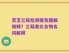 灵芝三萜检测报告图解视频？三萜类化合物名词解释