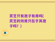 灵芝只有孢子有用吗(灵芝的效用只在于其孢子吗？)