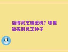 淄博灵芝破壁机？哪里能买到灵芝种子