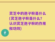 灵芝中的孢子粉是什么(灵芝孢子粉是什么？认识灵芝孢子粉的作用和功效)