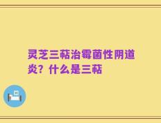 灵芝三萜治霉菌性阴道炎？什么是三萜