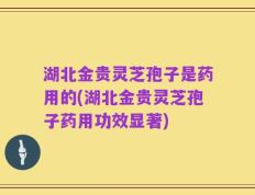 湖北金贵灵芝孢子是药用的(湖北金贵灵芝孢子药用功效显著)