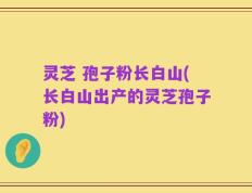 灵芝 孢子粉长白山(长白山出产的灵芝孢子粉)