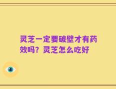 灵芝一定要破壁才有药效吗？灵芝怎么吃好