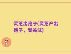 灵芝出孢子(灵芝产出孢子，受关注)