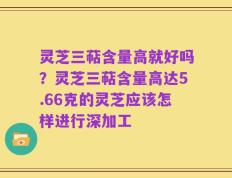 灵芝三萜含量高就好吗？灵芝三萜含量高达5.66克的灵芝应该怎样进行深加工