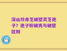 深山珍赤芝破壁灵芝孢子？孢子粉破壳与破壁区别