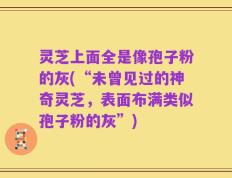 灵芝上面全是像孢子粉的灰(“未曾见过的神奇灵芝，表面布满类似孢子粉的灰”)