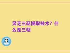 灵芝三萜提取技术？什么是三萜