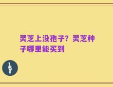 灵芝上没孢子？灵芝种子哪里能买到