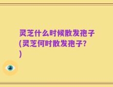 灵芝什么时候散发孢子(灵芝何时散发孢子？)