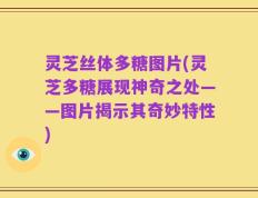 灵芝丝体多糖图片(灵芝多糖展现神奇之处——图片揭示其奇妙特性)