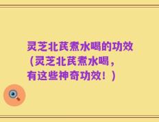 灵芝北芪煮水喝的功效 (灵芝北芪煮水喝，有这些神奇功效！)